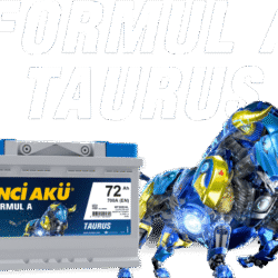 FORMUL A TAURUS