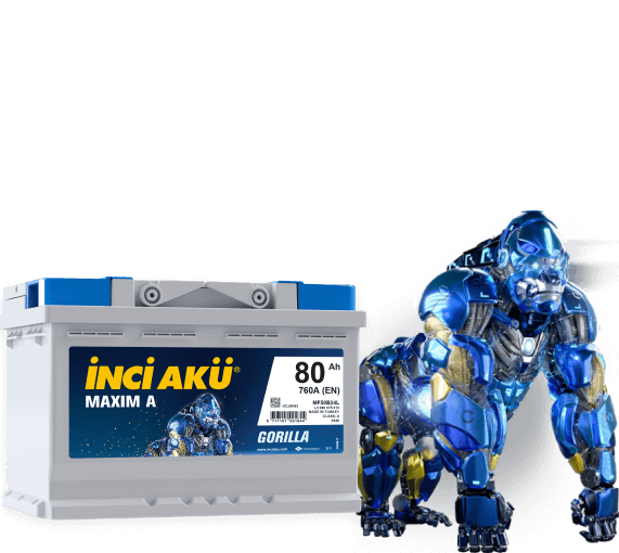 MAXIM A GORILLA